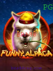 Explorando o Divertido Universo de FunnyAlpaca